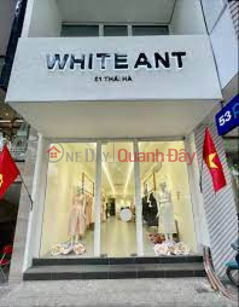 WHITE ANT 51 THAI HA (WHITE ANT 51 THÁI HÀ),Dong Da | (1)