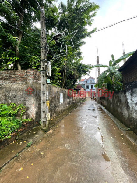 BÁN GẤP 46M TAM THUẤN, PHÚC THỌ. Ô TÔ ĐỖ TẠI ĐẤT. GIÁ 4X NHỎ | Việt Nam Bán, đ 2,05 tỷ