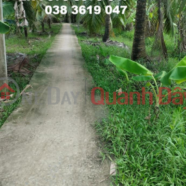 Owner Sells Beautiful Land Lot in Thoi Lai Commune, Binh Dai District, Ben Tre - Investment Price _0