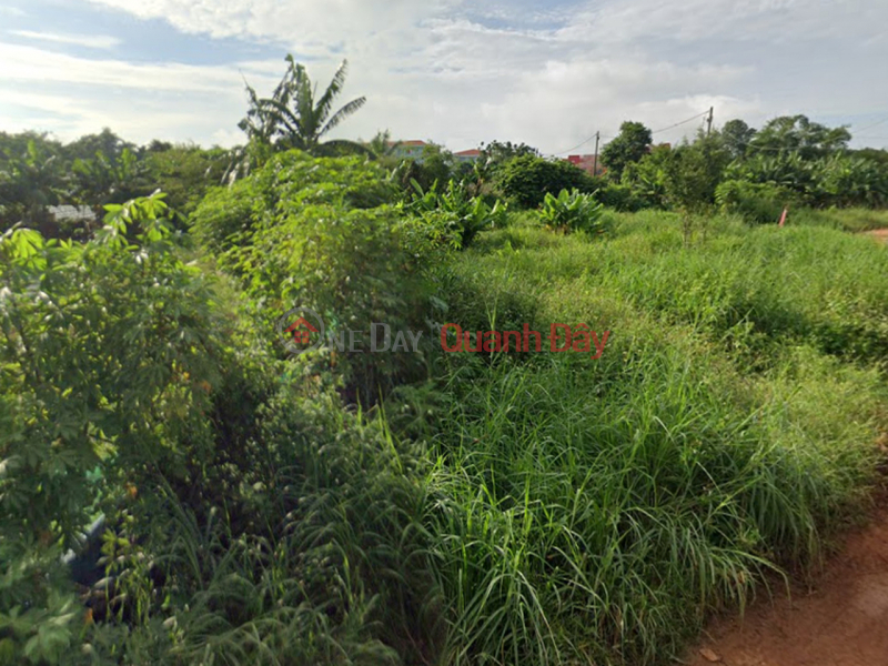 Đất Mặt tiền SHR HXH 1194m2 – Đông Thạnh 2-5 Hóc Môn Niêm yết bán