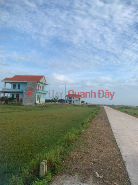 BEAUTIFUL LAND - GOOD PRICE - Quick sale of LAND LOT in Phu Vang - Thua Thien Hue Vietnam Sales | đ 1.35 Billion