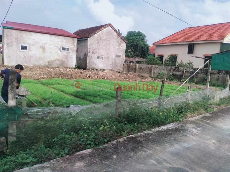 Property Search Vietnam | OneDay | Nhà ở Niêm yết bán | CHÍNH CHỦ CẦN BÁN GẤP LÔ ĐẤT tại Xã Xuân Hòa, Huyện Nam Đàn, Nghệ An