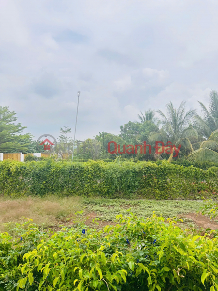 Chỉ Một Lô Duy Nhất - 400M² Mặt Tiền Đường 11M Tại Greenery House Long Tân Việt Nam, Bán | đ 3,5 tỷ