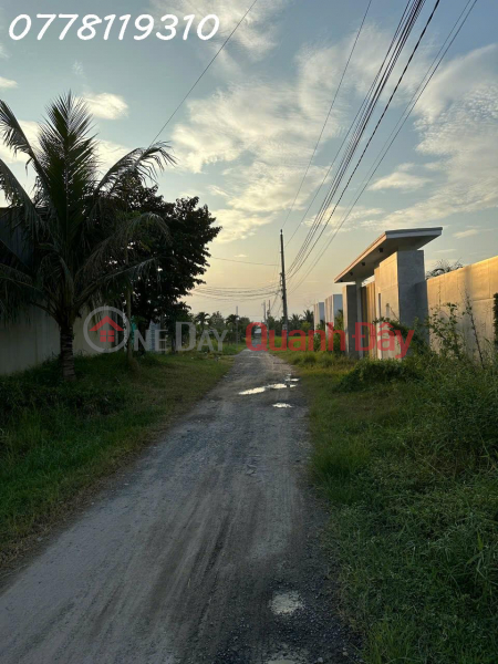 Owner needs to sell 600m2 of land on Bau Sen street, Hoa Khanh Dong commune, Duc Hoa, investment price Sales Listings