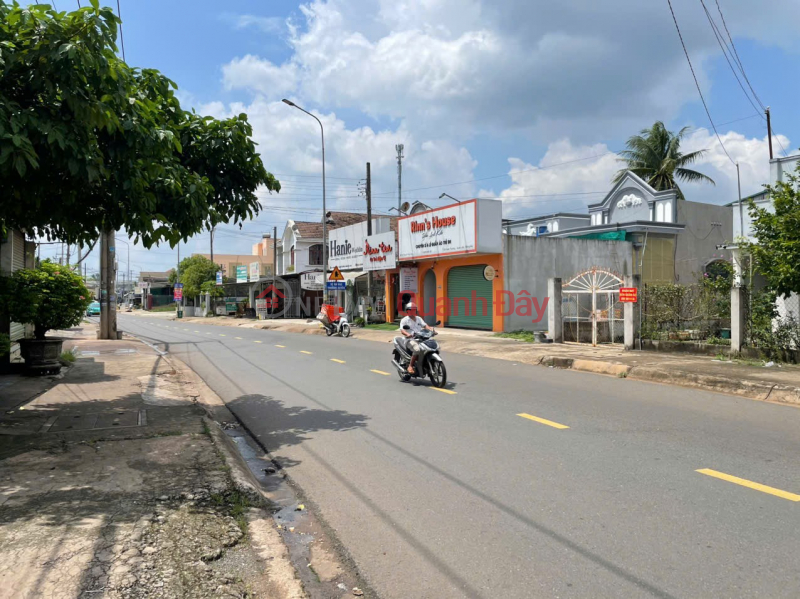 PRIME LOCATION - GREAT PRICE - Owner urgently selling house in Xuan Truong Commune, Xuan Loc District, Dong Nai Province Sales Listings