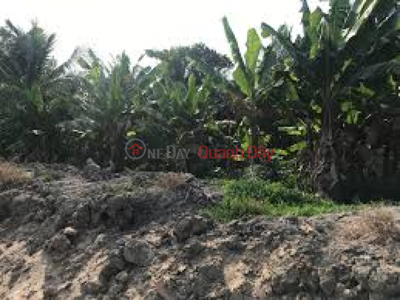 đ 28 Billion The owner urgently sells a 100% agricultural plot of land at Duong Ky Hiep Street, Ward 2, Soc Trang City, Soc Trang Province