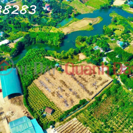 SIÊU PHẨM LẠC THUỶ HOÀ BÌNH CŨ (849-8612032643)_0