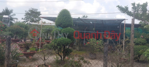 BEAUTIFUL LAND - GOOD PRICE - Owner sells beautiful land lot in Phuoc Minh Commune, Duong Minh Chau District, Tay Ninh Province. _0