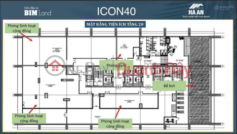 Bán căn hộ cao cấp tại dự án ICON40 Hạ Long _0