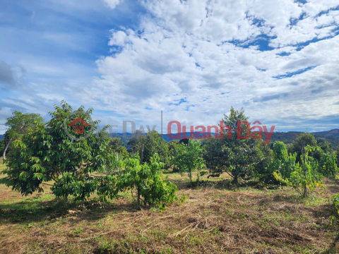 BEAUTIFUL LAND - OWNER SELLS LAND At Buon B.salousieum, Tien Hoang Commune, Cat Tien, Lam Dong _0