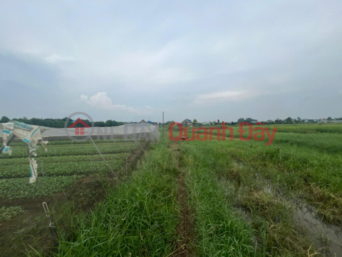 PROFITABLE INVESTMENT - Owner Needs to Sell a Beautiful Land Plot in Xuan Thoi Thuong Commune, Hoc Mon, HCM _0