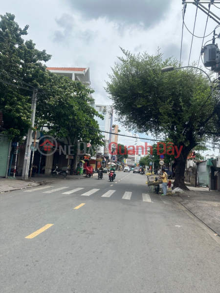 Property Search Vietnam | OneDay | Residential, Sales Listings | MULTI-INDUSTRY BUSINESS FRONT - TAN THANH ROAD - TAN PHU CENTER VIP AREA - 5.9M - 87.3M2 HORIZONTAL - ONLY 13 BILLION 960