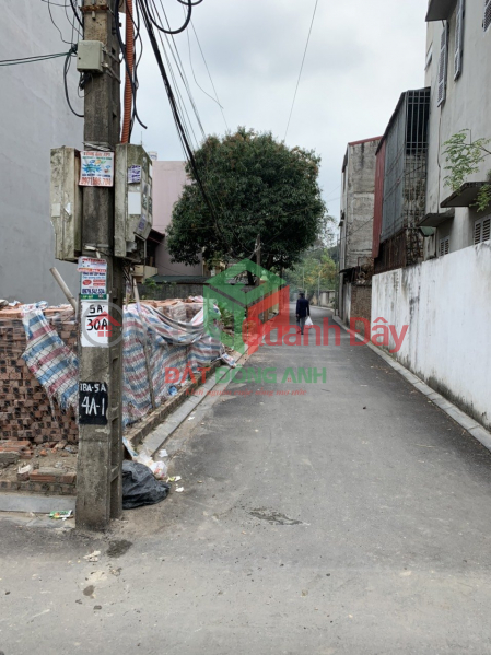 Property Search Vietnam | OneDay | Residential Sales Listings Land for sale in Dong Anh Town Corner lot 58.5m Road more than 4m clear