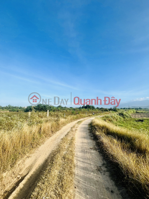 MÃ 964 (NH-20): BÁN ĐẤT NINH XUÂN, NINH HÒA GIÁ ĐẦU TƯ, TIỀM NĂNG CAO. _0