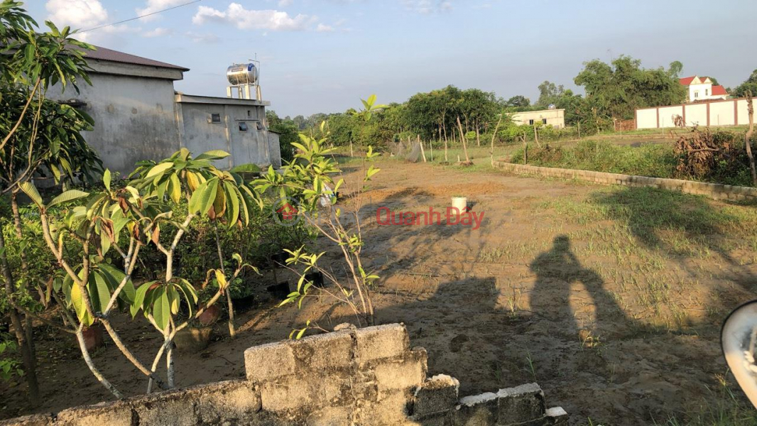 Property Search Vietnam | OneDay | Residential, Sales Listings | BEAUTIFUL LAND - GOOD PRICE - OWNER NEEDS TO SELL URGENCY LOT OF LAND BEAUTIFUL LOCATION IN Nghi An, Vinh City, Nghe An