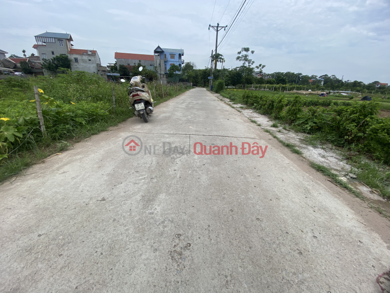 more than 500 million - 39m of land in Thuy Huong commune - Chuong My car road Vietnam | Sales ₫ 570 Million