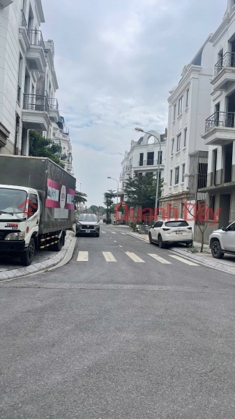 SUPER BEAUTIFUL VILLA LOT FOR SALE – 31HA URBAN AREA TRAU QUY, GIA LAM Sales Listings