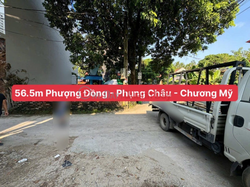 SIÊU HÓT BÁN LÔ ĐẤT 56,5M TẠI PHỤNG CHÂU-CHƯƠNG MỸ-HÀ NỘI Niêm yết bán