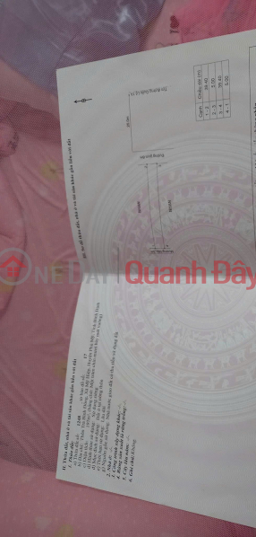 OWNER'S LAND - BEAUTIFUL LOCATION Tra Binh Dong Village, My Hiep Commune, Phu My - Binh Dinh Sales Listings