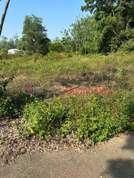 đ 530 Million | BEAUTIFUL LAND - GOOD PRICE - URGENT SALE Potential Land Lot In Tan Phuoc Commune, Dong Phu, Binh Phuoc