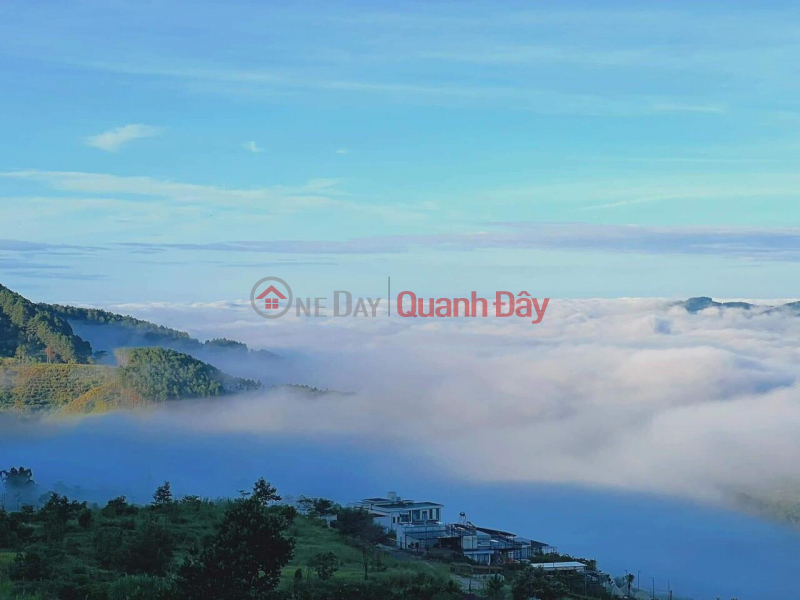 Property Search Vietnam | OneDay | Residential | Sales Listings BEAUTIFUL LAND - GOOD PRICE - OWNER 5000m2 Land Lot For Sale In Dong Thanh, Lam Ha