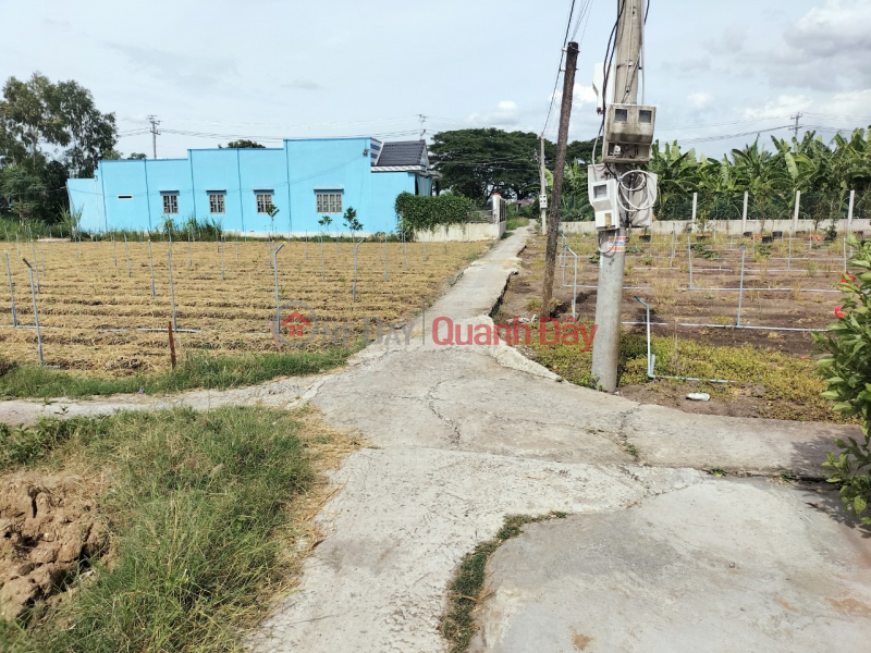 OWNER NEEDS TO SELL LAND IN TAN TRUNG COMMUNE. GO CONG TOWN Sales Listings