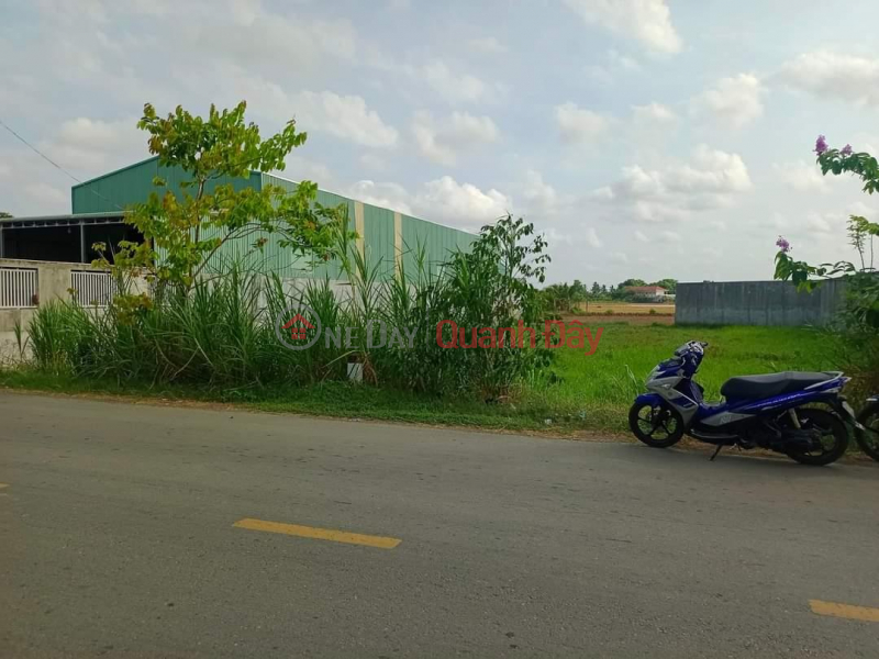 Property Search Vietnam | OneDay | Residential | Sales Listings FOR SALE Beautiful Land Lot Super Prime Location In Binh An Commune, Thu Thua District, Long An Province.