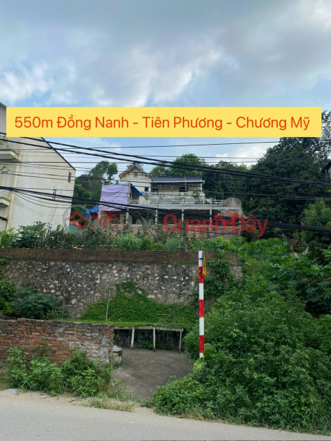 OWNER SELLS 550M LAND LOT RIGHT ACROSS PROVINCIAL ROAD 419 IN TIEN PHUONG-CHUONG MY-HANOI _0