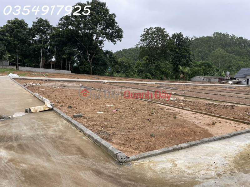 LAND FOR SALE 160M2 LOT, RESIDENTIAL FUIL 50 M2. PRICE 460 MILLION. TU VU COMMUNE, THANH THUY DISTRICT, PHU THO CITY Sales Listings