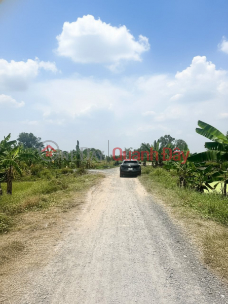 , Làm ơn chọn, Nhà ở | Niêm yết bán, đ 30 triệu