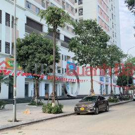 165m2 Penthouse apartment at Window River Park, Co Loa. Rare garden view. Price only 5x million VND\/m2. Cheapest in Hanoi. _0