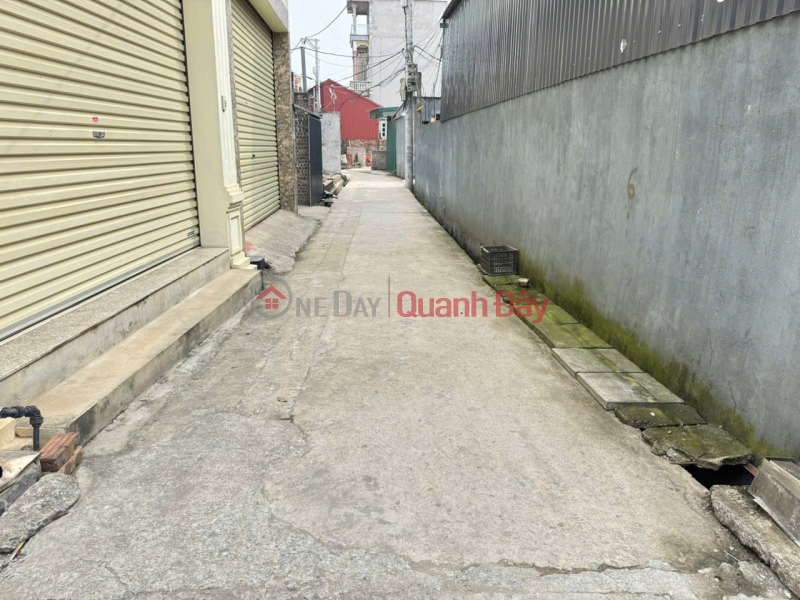 Property Search Vietnam | OneDay | Nhà ở, Niêm yết bán | Bán 82m đất Tam Đồng, Mê Linh, HN. Đất vuông vắn, full thổ cư. Mặt tiền rộng
