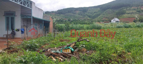 BEAUTIFUL LAND - GOOD PRICE - OWNER NEEDS TO SELL LAND URGENTLY At Gia Lam Commune, Lam Ha District, Lam Dong Province _0