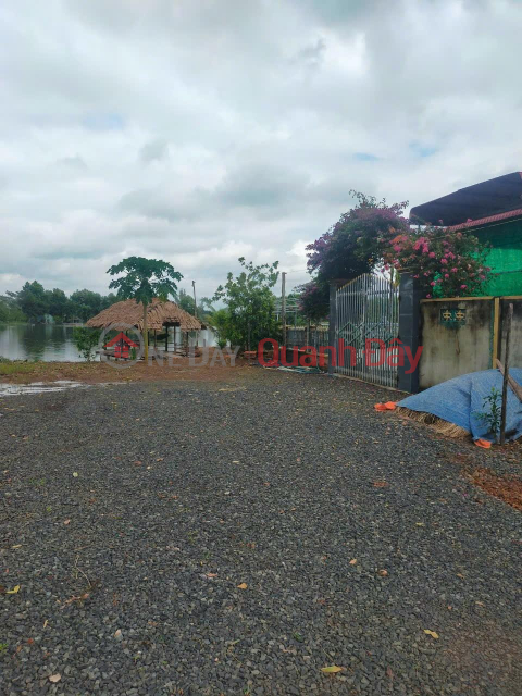 BEAUTIFUL LAND - GOOD PRICE - For Quick Sale Land Lot Prime Location In Tan Tien Commune, Dong Phu, Binh Phuoc _0