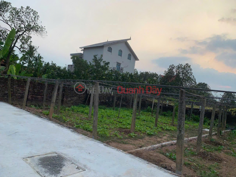 Property Search Vietnam | OneDay | Nhà ở | Niêm yết bán BÁN ĐẤT CÁCH MẶT ĐƯỜNG NHỰA 100M, VỈA HÈ 4M, KINH DOANH ĐỈNH,