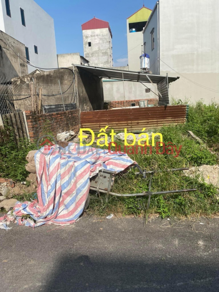 Property Search Vietnam | OneDay | Residential, Sales Listings, Land for sale in Tuan Le, Tien Duong with 67 square meters of common truck, priced at 4 billion TL. Contact: 0936123469