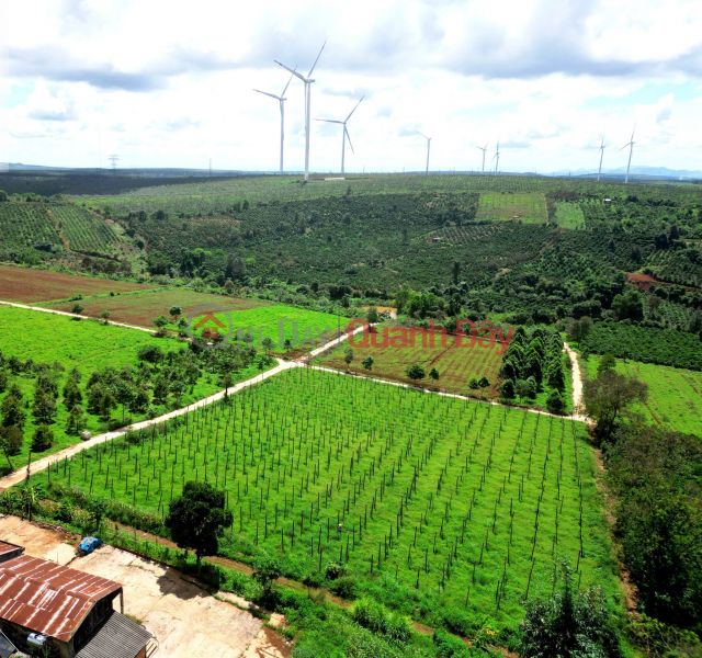 Bán đất huyện Chư Prông sổ hồng 1000m giá 180tr đường ô tô 5m Niêm yết bán