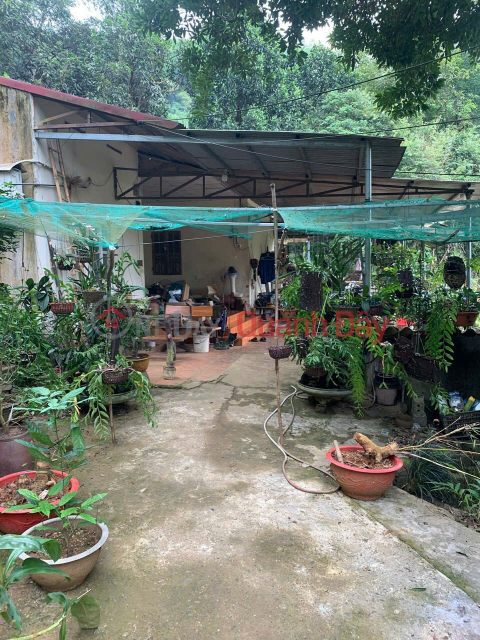 CHÍNH CHỦ BÁN SIÊU PHẨM - Chưa đến 4 tỷ khu nhà vườn cực đẹp trung tâm thành phố Lao Cai (cũ) _0