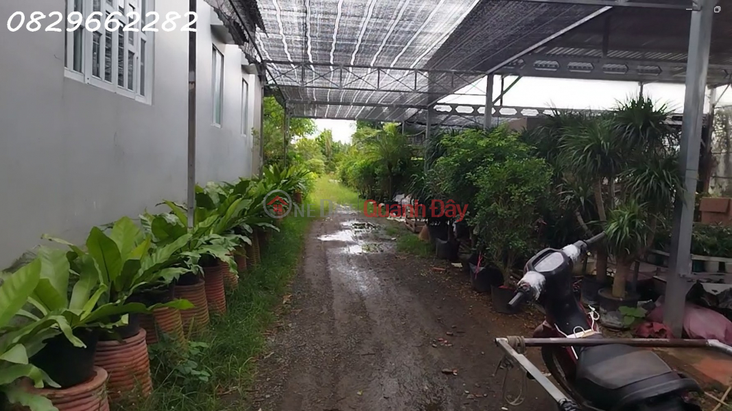  Làm ơn chọn | Nhà ở Niêm yết bán | đ 4,5 tỷ