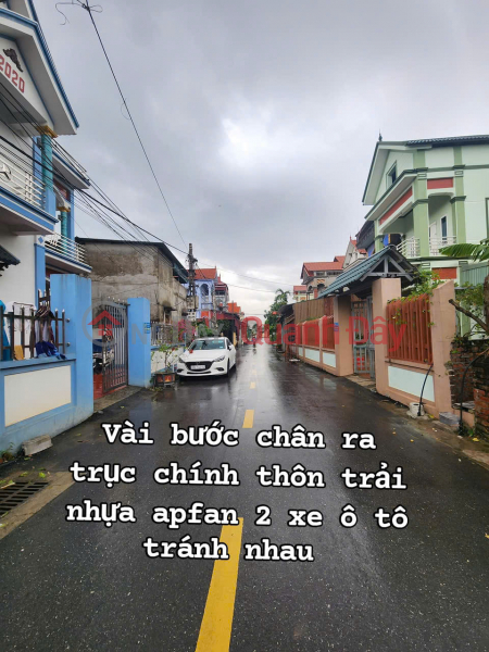 Bán đất Tấn Dân Khoái Châu diện tích 115m mặt tiền 7.2m đường oto thông giá đầu tư Việt Nam Bán, đ 1,7 tỷ