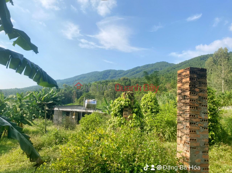 THE OWNERS NEED TO GET OUT Plot Land - Investment Price At Cua Ong Dam - Nam Nghia - Nam Dan - Nghe An Sales Listings