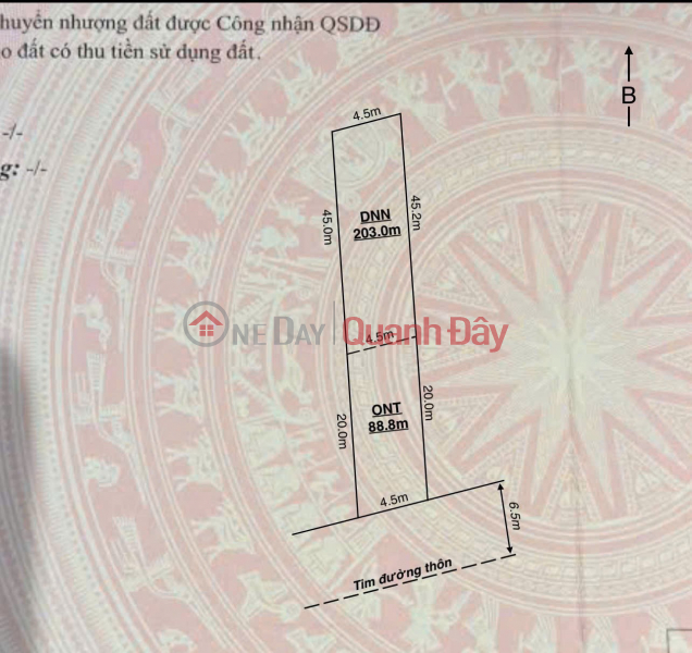 GARDEN HOUSE WITH DA DO RIVER VIEW – RARE LARGE LAND PLOT – PRICE 2.X BILLION VND ZALO 0567 222 555 Sales Listings