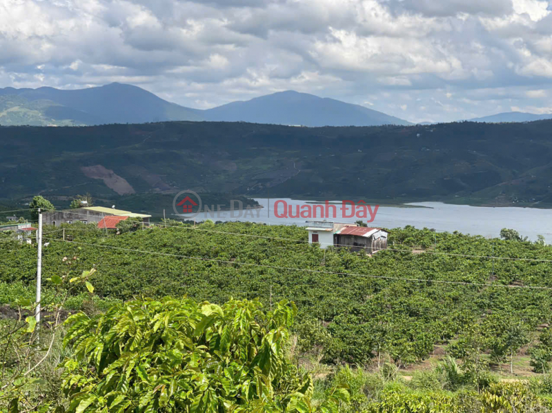 Property Search Vietnam | OneDay | Residential, Sales Listings OWNER NEEDS TO QUICKLY SELL CAFE LOT WITH VIEW OF HYDROELECTRIC LAKE In Tan Ha, Lam Ha, Lam Dong - SUPER GOOD PRICE