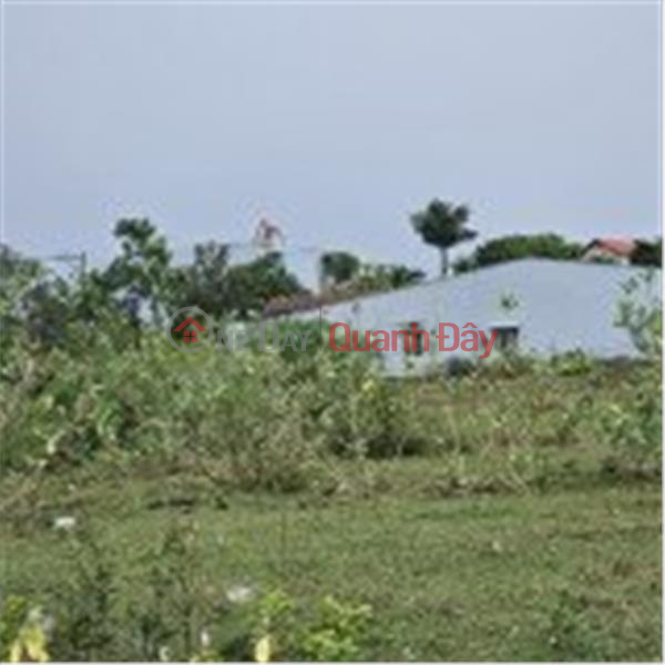 BEAUTIFUL LAND - GOOD PRICE - For Quick Sale Land Lot Prime Location In Long Truong Ward, District 9, Vietnam Sales, ₫ 65 Billion
