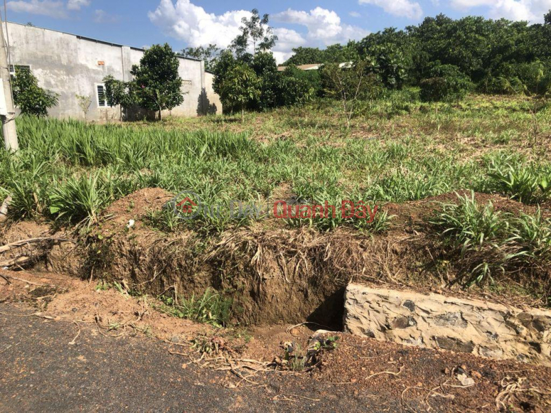 OWNER FOR SALE LOT OF LAND BEAUTIFUL LOCATION AT Tan Hai Hamlet, Loc Phu Commune, Loc Ninh District, Binh Phuoc Sales Listings