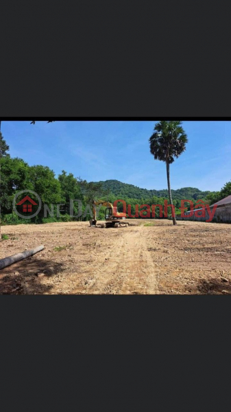 BEAUTIFUL LAND - INVESTMENT PRICE - Quick Sale In Binh An, Kien Luong, Kien Giang Sales Listings