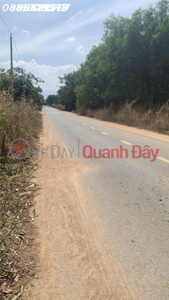 Property Search Vietnam | OneDay | Residential | Sales Listings, Super product of land just a few steps from National Highway 1A, the land is square like a Tet cake