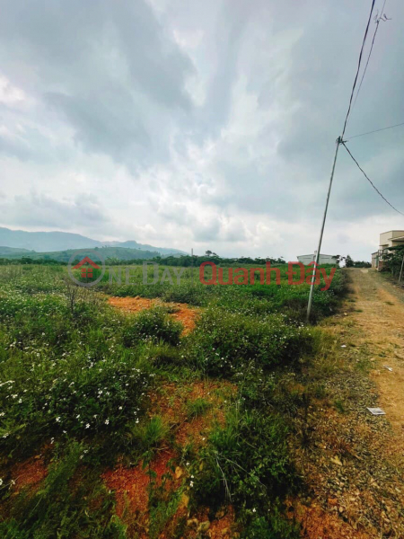 Land in a central location, 30m from Dinh Cong Trang main road Sales Listings