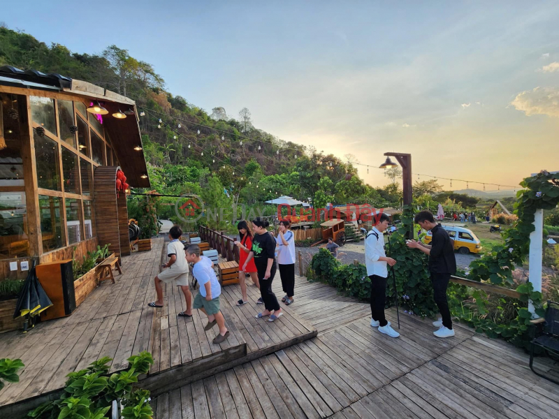 Property Search Vietnam | OneDay | Nhà ở Niêm yết bán bán đất la ngà định quán 12.356m thực tế hơn đã có 300m thổ cư