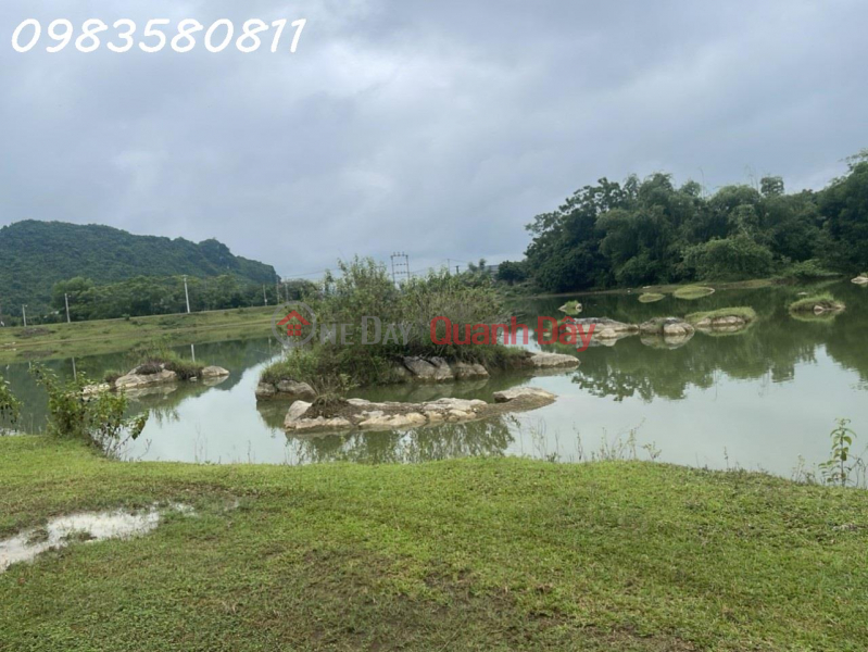 SUPER PROFIT HOMESTAY INVESTMENT LAND FOR SALE - PEACE Sales Listings